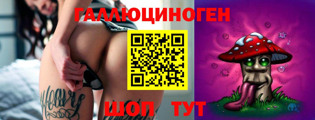 Сергиев Посад  Галлюциногенные грибы мухоморы  Вход с VPN 